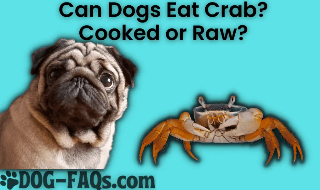 are raw crab bad for dogs